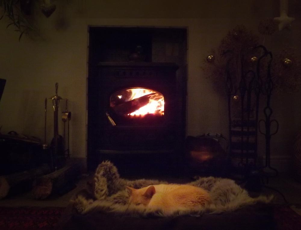 Bailey at the fire